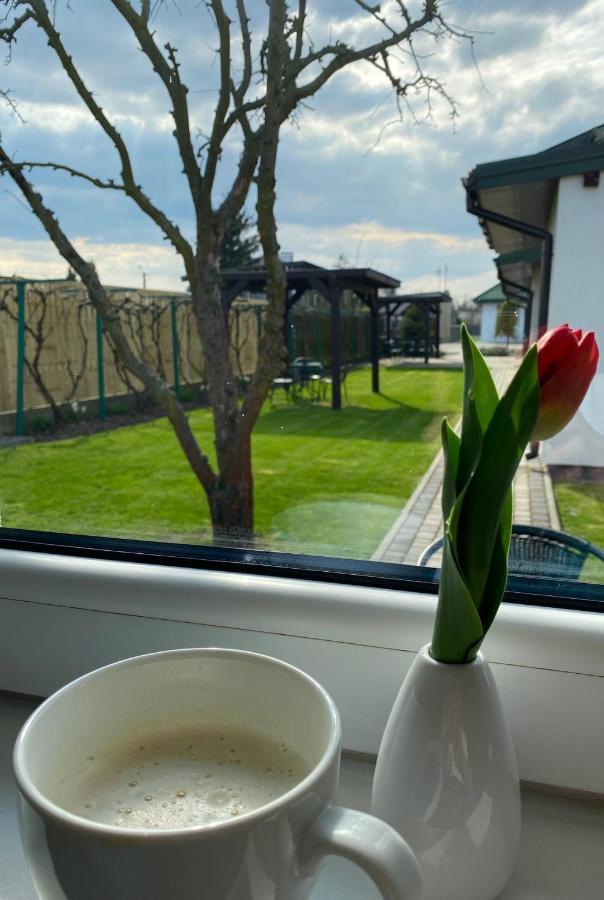 Zielone Zacisze Villa Uniejow Exterior foto