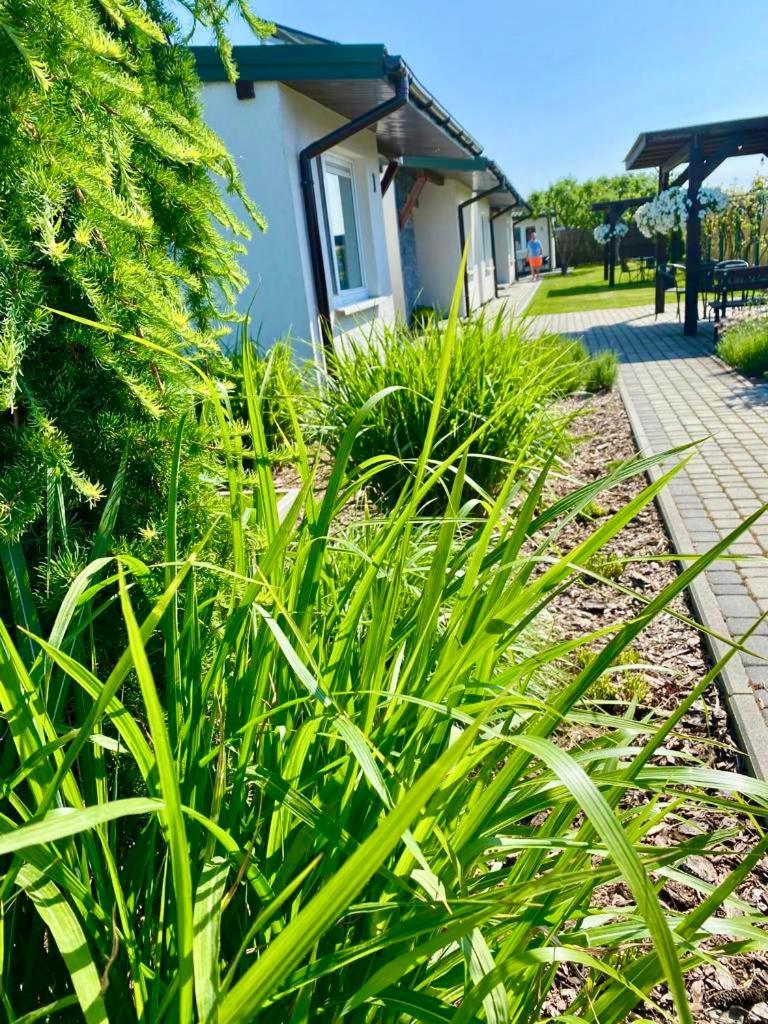 Zielone Zacisze Villa Uniejow Exterior foto